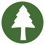 bigtrees2.png